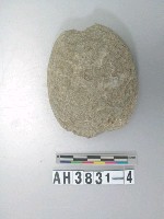 藏品(中砝碼型石網墜)的圖片